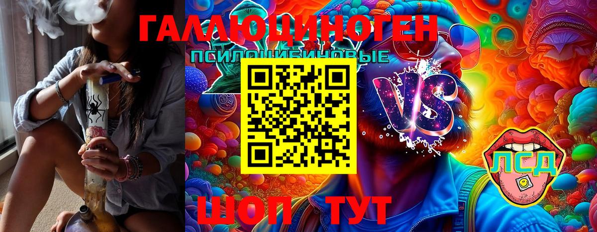 Галлюциногенные грибы Cubensis  Кизляр  Галлюциногенные грибы мицелий 