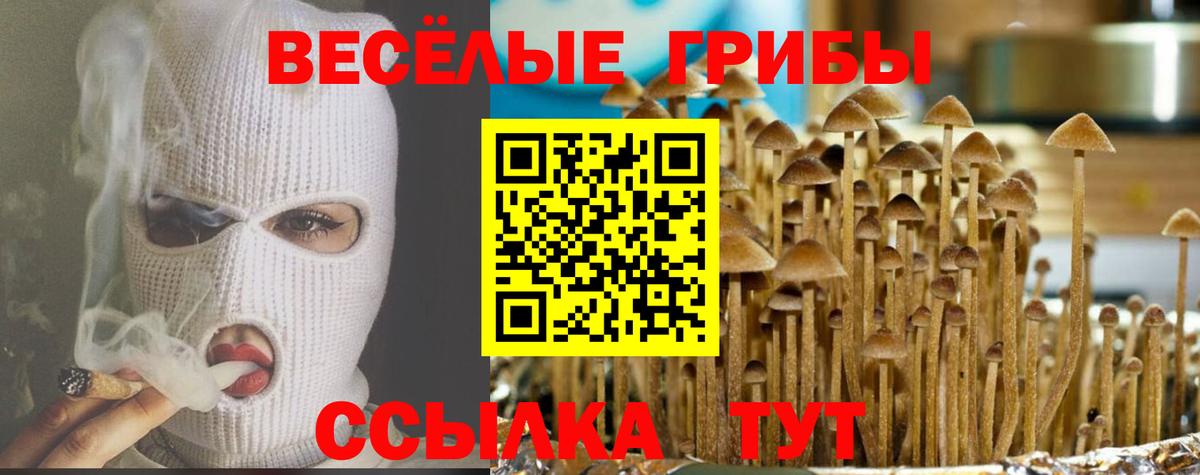 Кизляр  Галлюциногенные грибы Psilocybine cubensis  Вход с VPN 