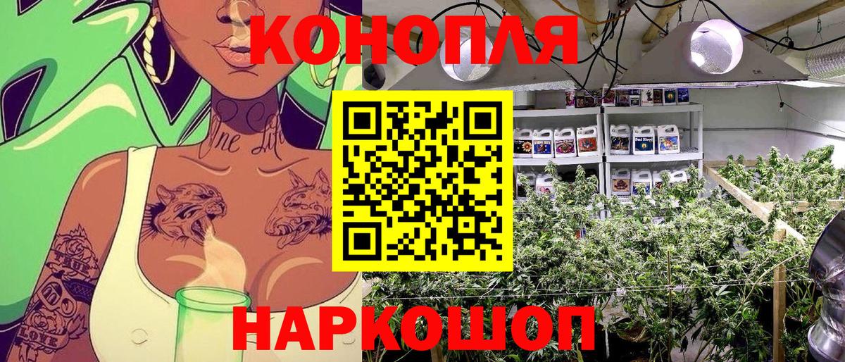 Бошки Шишки MAZAR Кизляр